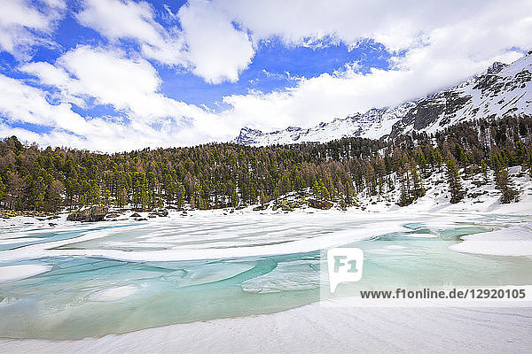 Saoseosee bei Tauwetter  Saoseosee  Val di Campo  Val Poschiavo  Kanton Graubünden  Schweiz