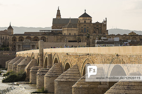 Die Kathedrale und die Große Moschee von Cordoba (Mezquita) und die Römische Brücke in der Dämmerung  UNESCO-Weltkulturerbe  Cordoba  Andalusien  Spanien  Europa