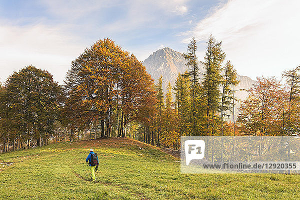 Hiker on green meadow during autumn  Piani Resinelli  Valsassina  Lecco province  Lombardy  Italian Alps  Italy