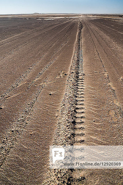 Reifenspuren begrenzen eine scheinbar endlose gerade Straße in der Namib-Wüste in der Nähe der berüchtigten Skelettküste  Namibia