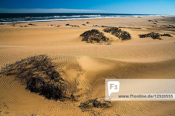 Sanddünen  vom Wind in ausgeprägte Furchen geblasen  die sich durch das Meer und die Brandung in die Ferne erstrecken  in der Nähe von Sandwich Bay  Namibia