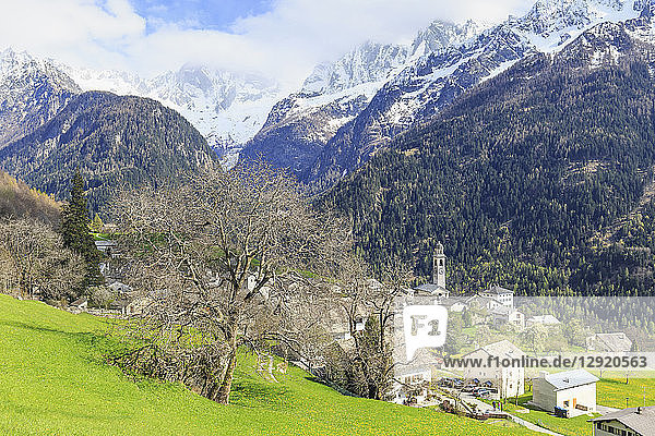 Spring at the village of Soglio  Val Bregaglia (Bregaglia Valley)  Graubunden  Switzerland  Europe