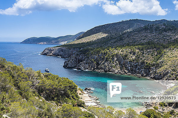 Küstenlinie über dem Strand Cala D'en Serra  Ibiza  Balearische Inseln  Spanien  Mittelmeer  Europa