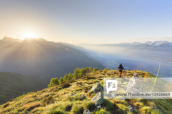 Ein Wanderer auf dem Kamm des Monte Rolla  Valmalenco  Valtellina  Lombardei  Italien  Europa