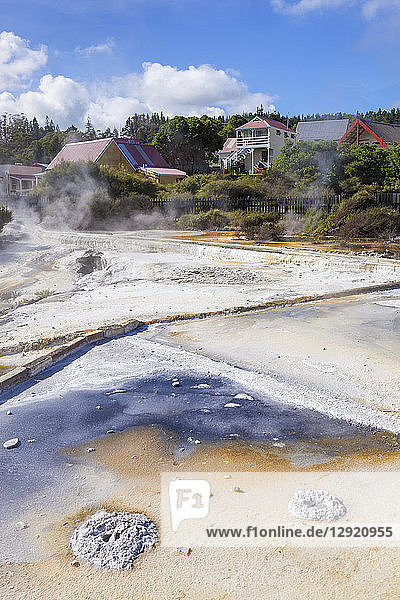 Geothermische Terrassen mit abfließenden Mineralien  Whakarewarewa Thermaldorf  Rotorua  Nordinsel  Neuseeland  Pazifik
