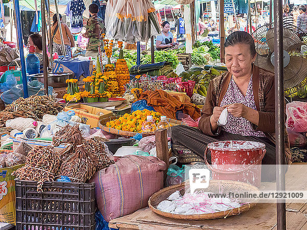 Verkäufer auf dem zentralen Markt im Freien  Luang Prabang  Laos  Indochina  Südostasien  Asien