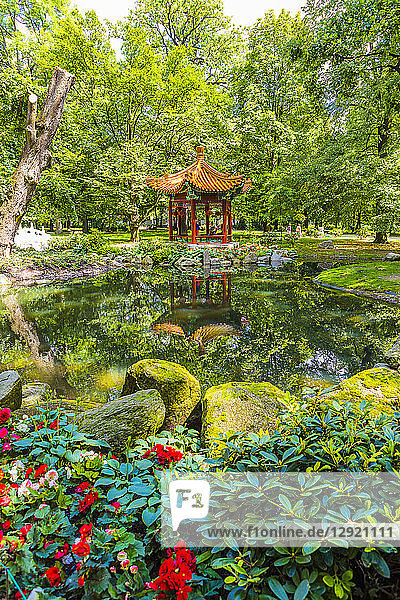 Japanischer Garten  Lazienki-Park  Warschau  Polen