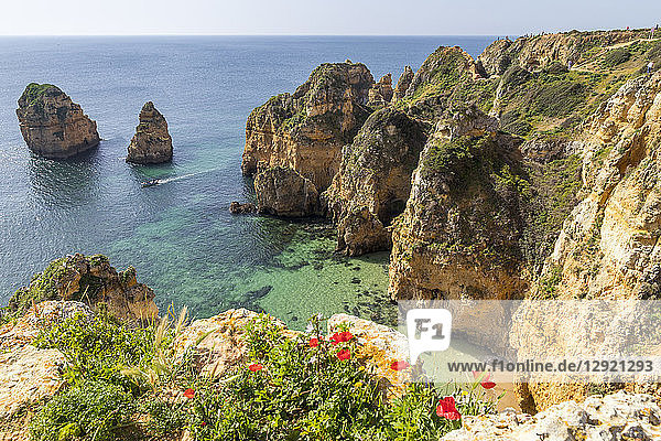 Felsenküste bei Lagos  Algarve  Portugal  Europa