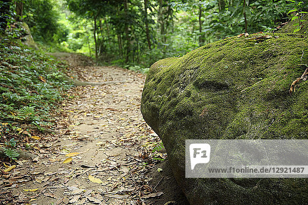 Eine in einen Felsen geritzte Felszeichnung auf dem Wanderweg nach Pueblito im Tayrona-Nationalpark  Staat Magdalena  Kolumbien  Südamerika