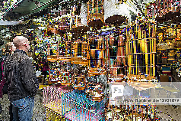 Vogelgartenmarkt in der Yuen Po Street  Mongkok  Kowloon  Hongkong  China  Asien