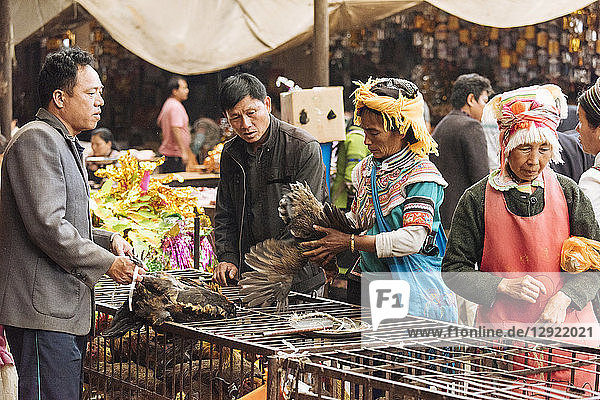 Lokaler Markt Xinjie  Yuanyang  Provinz Yunnan  China