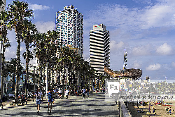 Palmen und Fußgängerzonenpromenade mit moderner Kunst und Wolkenkratzern im Hintergrund am Wasser  Strand von Barcelona  Katalonien  Spanien