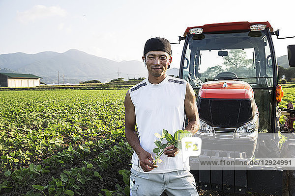 Japanese farmer standing in front of red tractor in a soy bean field looking at camera.