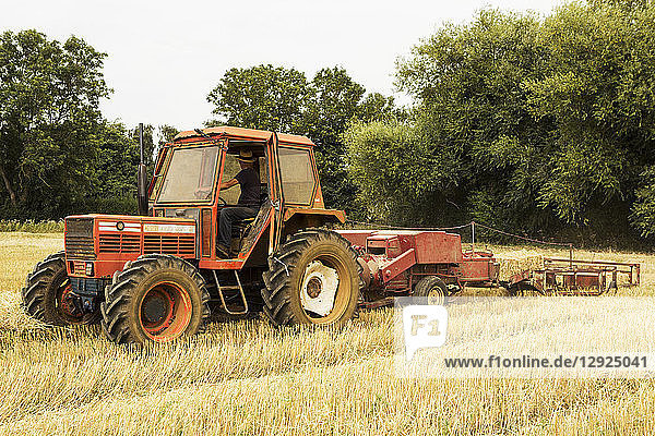 Traktor und Strohballenpresse im Weizenfeld  Landwirt verpresst Stroh.