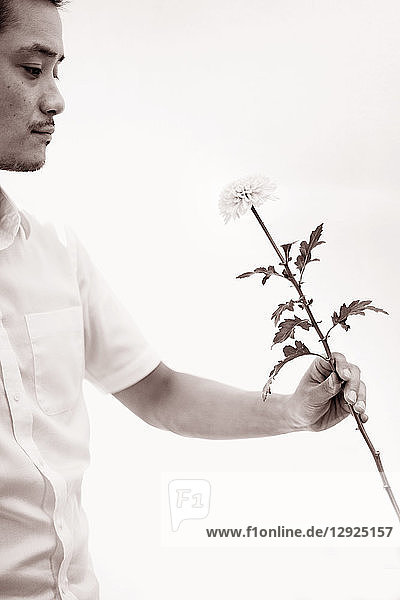 Japanischer Mann  der in einer Blumengalerie arbeitet und eine Blume hält.