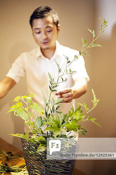Japanischer Mann steht in der Blumengalerie und arbeitet am Ikebana-Arrangement.