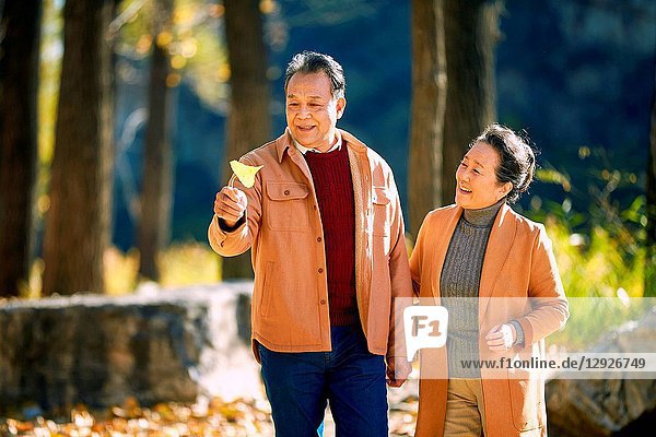 Elderly couple walking in the woods