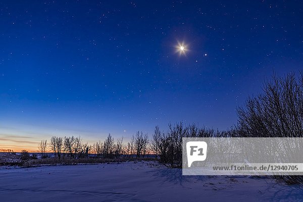 The morning sky of January 11 2018 with the waning crescent Moon shining above the pairing of Mars (left) and Jupiter (right). The Moon and planets are in Libra just east (left) of the star Zubenelgenubi or Alpha Librae. Left of centre Antares and the stars of Scorpius are just rising in the dawn twilight.This was from home on January 11 2018 just after 7 am MST with the temperature about -30° C but little wind thankfully. This is a stack of four exposures for the ground to smooth noise and one for the sky plus a short 1 second exposure for the Moon layered in and masked to reveal more the Moonâ.s disk with it not so overexposed. The long exposures were each 13 seconds at f/2. 8 and ISO 400 with the 35mm lens and Canon 6D MkII.