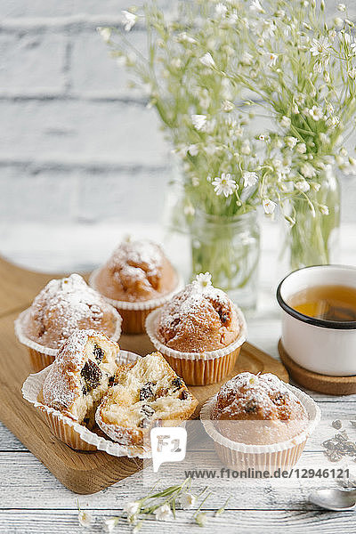 Muffins mit Schokolade und Puderzucker  serviert mit Tee
