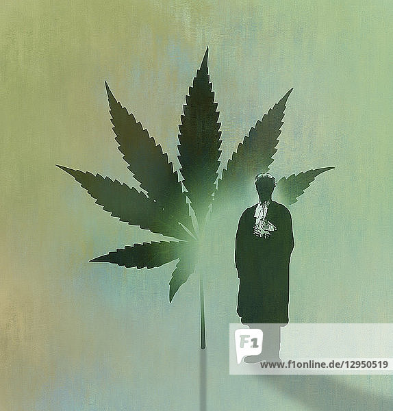 Rechtsanwalt und Cannabisblatt