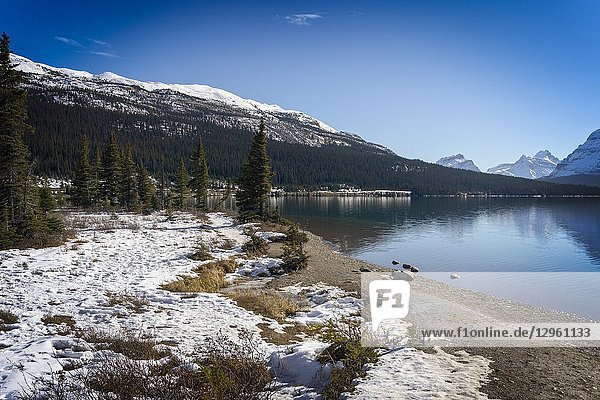 Bow Lake Banff National Park Alberta Canada.