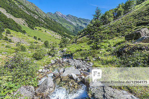 Frankreich  Pyrenäen-Nationalpark  Region Okzitanien  Val d'Azun  Haute-vallee d'Estaing  Wildbach