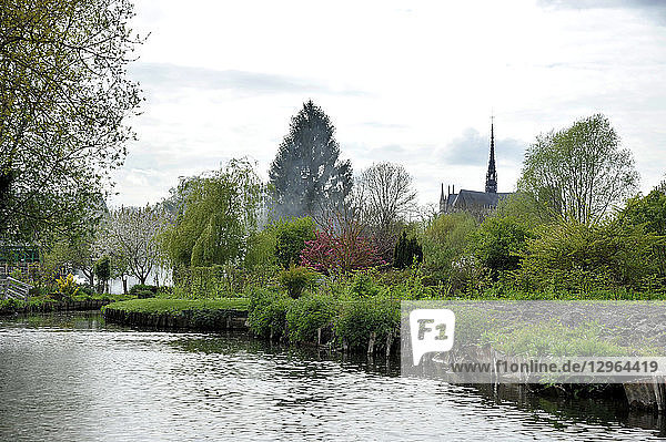 Frankreich  Region Hauts de France  Departement Somme  Stadt Amiens  schwimmende Gärten les Hortillonnages  im Hintergrund die Kathedrale Notre-Dame.