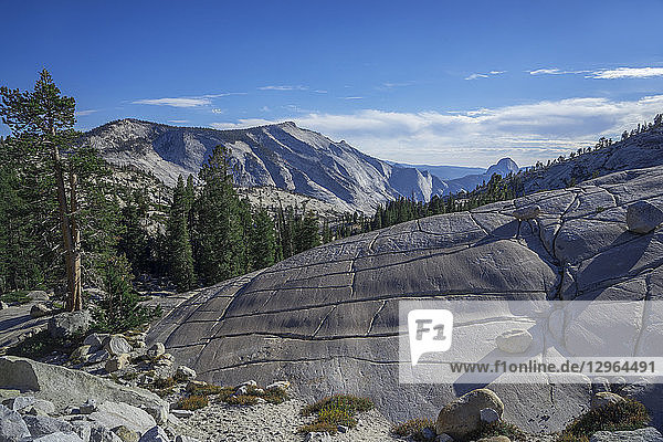 USA  Kalifornien  Yosemite-Nationalpark  Olmsted Point  Schafsfelsen