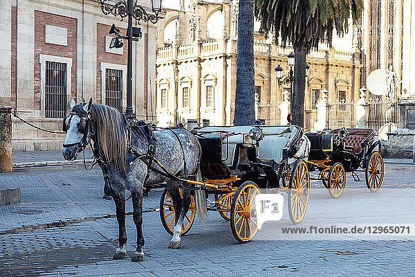 Traditionelle Pferdekutsche vor der Kathedrale Santa Maria in Sevilla  Andalusien  Spanien