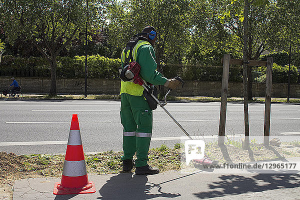 France  Paris  department 75  7th arrondissement  Orsay bank  local authority employee cutting the grass on the pavement with a brushcutter.