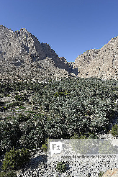 Oman  Dorf und Palmenhain von Halam am Fuße des Djebel-Khadar-Gebirges