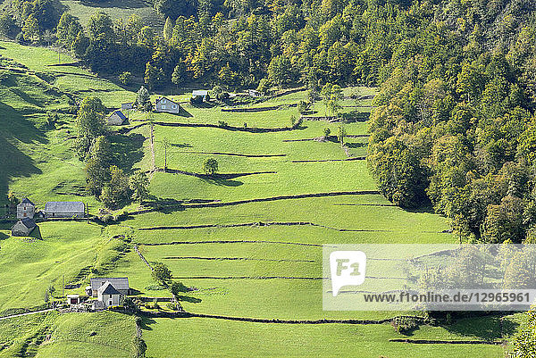 France Pyrenees National Park Occitanie region Val d'Azun Ouzoum valley near Arbeost barns