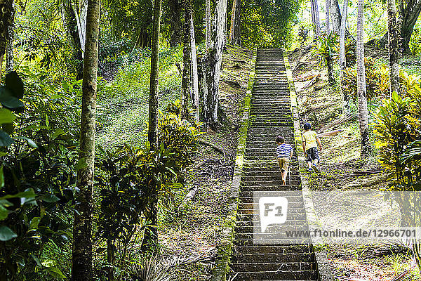 Zwei Kinder steigen die Treppe zum Strand der Piratenbucht hinauf  Charlotteville  Tobago  Trinidad und Tobago  Westindische Inseln  Südamerika