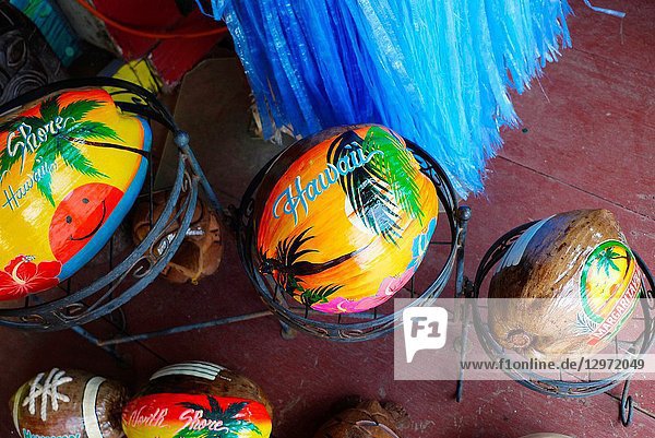 Painted coconuts  Oahu  Hawaii