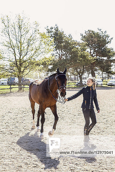 Teenage girl leading a horse in Sweden