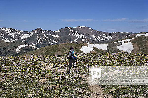 Woman hiking in mountains of Loveland Pass  Colorado