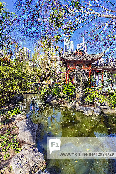 Australia  New South Wales  Sydney  Chinese garden