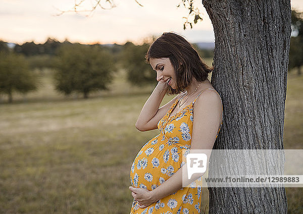 Schwangere Frau lehnt an Baum