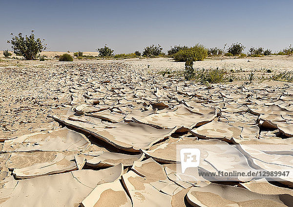 ausgedörrter Boden  Wüste  Oman