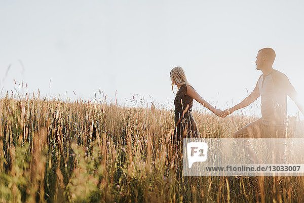 Romantischer Mann und Freundin halten sich im sonnenbeschienenen langen Grasfeld an den Händen