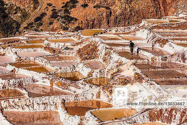 Salzterrassen im Heiligen Tal  wo die Menschen noch immer die terrassenförmig angelegten Becken abbauen und sichten  wie es die Inkas vor 1000 Jahren taten  Peru