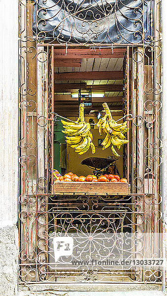 A local store selling fruit in Havana  Cuba  West Indies  Caribbean