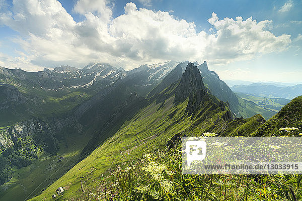 Peak Santis vom Schafler aus gesehen im Sommer  Appenzell Innerrhoden  Schweiz