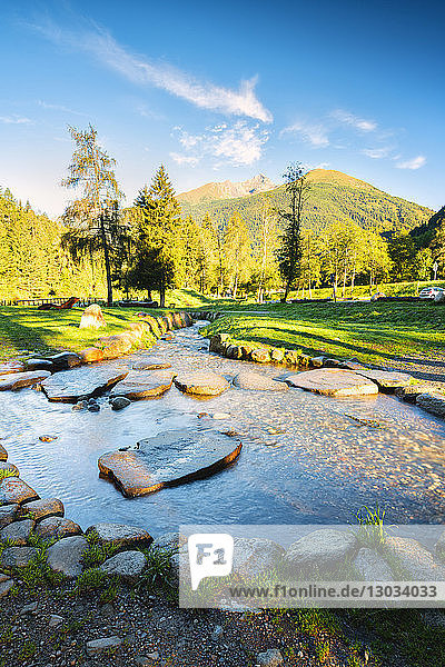 September light in Sozzine valley in Ponte di Legno Vallecamonica (Val Camonica) Brescia province Lombardy district Italy
