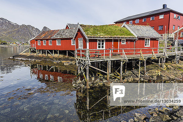 Häuser mit Ziegeldächern in der Stadt Reine auf den Lofoten  Arktis  Norwegen  Skandinavien