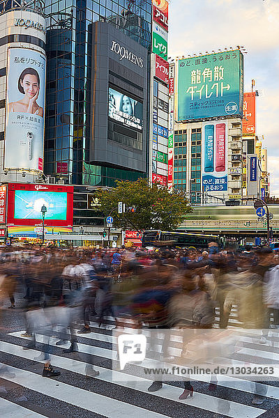 Crowds captured with blurred motion  walking through the Shibuya Crossing  Tokyo  Japan