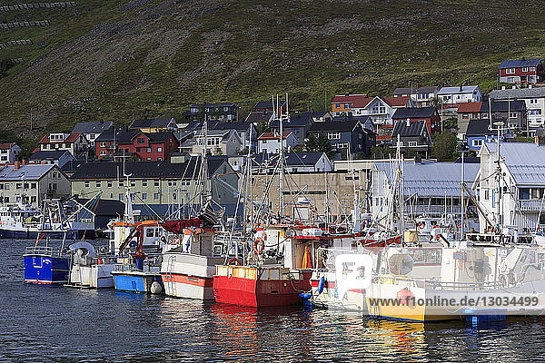 Fishing boats  Honningsvag Town  Mageroya Island  Finnmark County  Norway  Scandinavia