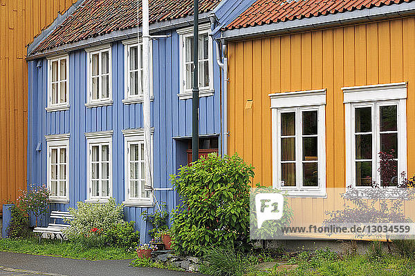 Mollenberg District  Trondheim City  Trondelag County  Norway  Scandinavia