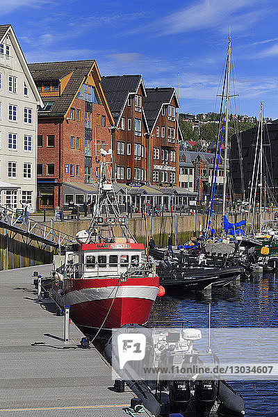 Hafen  Stadt Tromso  Insel Tromsoya  Bezirk Troms  Norwegen  Skandinavien