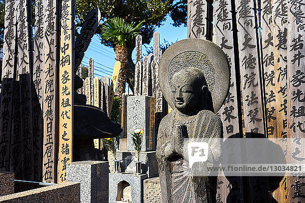 Buddah and wooden Toba tablets (memorial tablets) in a Japanese graveyard at Kyoji Buddhist Temple in Yanaka  Tokyo  Japan